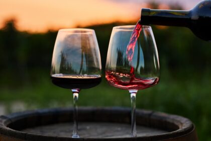 finding-the-parents-of-cabernet-sauvignon-and-chardonnay:-how-dna-analysis-can-trace-a-wine’s-genetic-origins