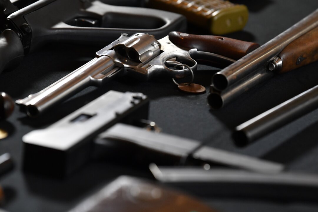 labor,-nationals-mp-call-for-national-firearm-registry-to-be-fast-tracked-after-police-killing