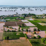 day-in-photos:-flooding-in-pakistan,-protests-in-indonesia,-and-falconry-exhibition