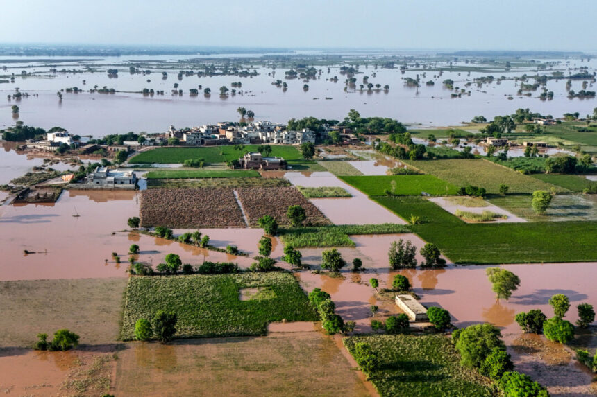day-in-photos:-flooding-in-pakistan,-protests-in-indonesia,-and-falconry-exhibition
