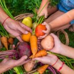 food-freedom:-late-season-actions-and-beyond