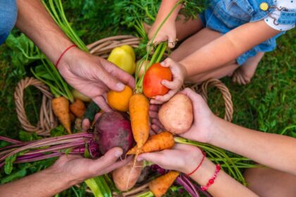 food-freedom:-late-season-actions-and-beyond