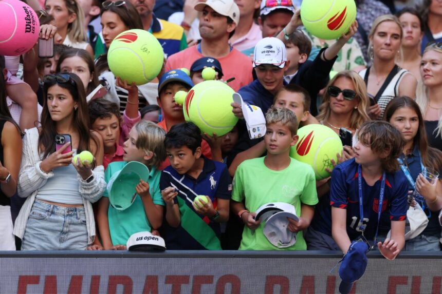 ceo-apologises-for-taking-polish-player’s-cap-from-boy-at-us-open