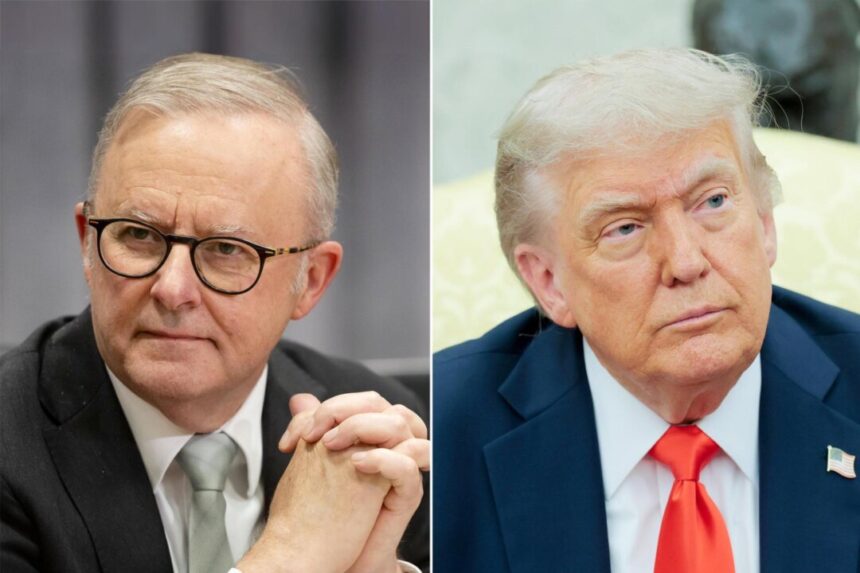 trump-and-albanese-share-‘constructive’-phone-call
