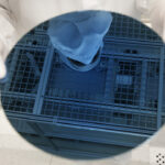 us-tightening-shipments-to-chip-factories-in-china-will-slow-beijing’s-advances,-analysts-say
