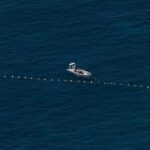 china-to-build-natural-reserve-at-disputed-south-china-sea-shoal