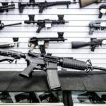 nsw-premier-chris-minns-rejects-‘right-to-hunt’-over-gun-law-concerns