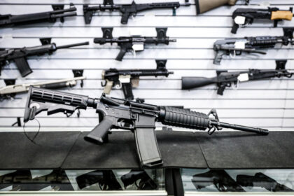 nsw-premier-chris-minns-rejects-‘right-to-hunt’-over-gun-law-concerns