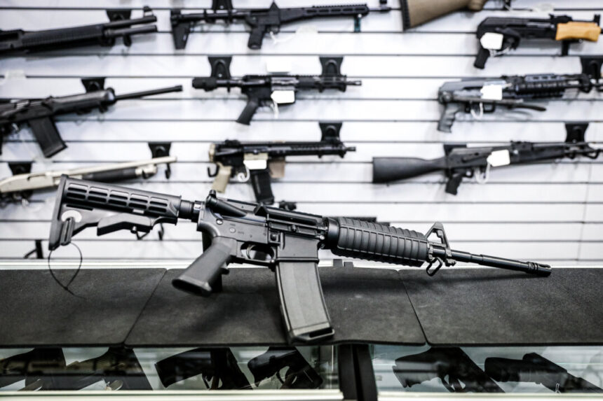 nsw-premier-chris-minns-rejects-‘right-to-hunt’-over-gun-law-concerns