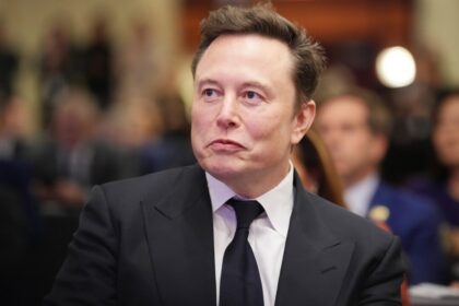 elon-musk’s-political-motivations-are-‘up-to-him,’-tesla-chair-says