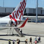 small-pets-to-fly-in-the-cabin-for-the-first-time