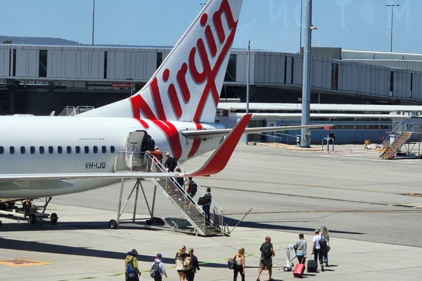 small-pets-to-fly-in-the-cabin-for-the-first-time