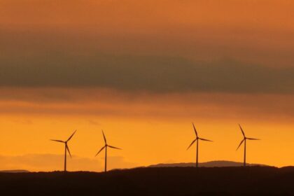 liberal-senator-concerned-labor’s-climate-change-strategy-is-driving-australia-‘off-a-cliff’