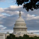 america-in-brief