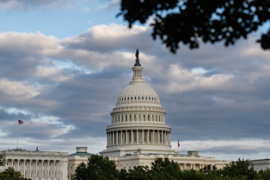 america-in-brief