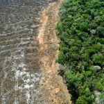 eu-delays-ban-on-imports-linked-to-deforestation-for-2nd-time
