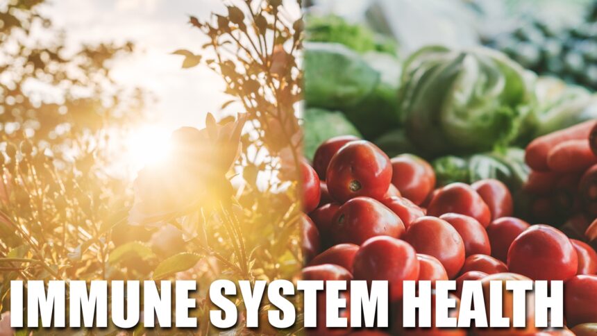 natural-paths-to-natural-immunity