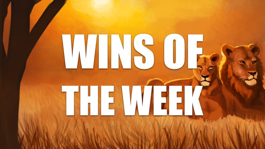 wins-of-the-week-ep90-with-ted-kuntz