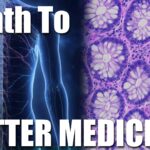 the-tissue-code:-how-our-body-stays-organized