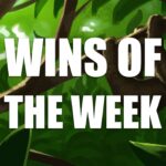wins-of-the-week-ep89-with-ted-kuntz