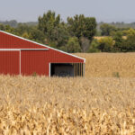 us-will-use-tariff-revenue-to-help-farmers:-trump