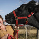 an-alberta-farm-is-home-to-the-world’s-tallest-steer