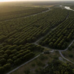 china-investigates-us,-mexican-pecan-imports,-mexico’s-tariffs-as-trade-tensions-escalate