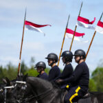 rcmp-horses,-breeding-doses-for-sale-at-upcoming-auction