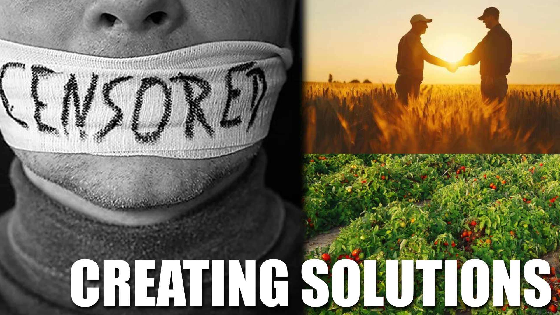 uncovering-systemic-deception-and-rebuilding-community
