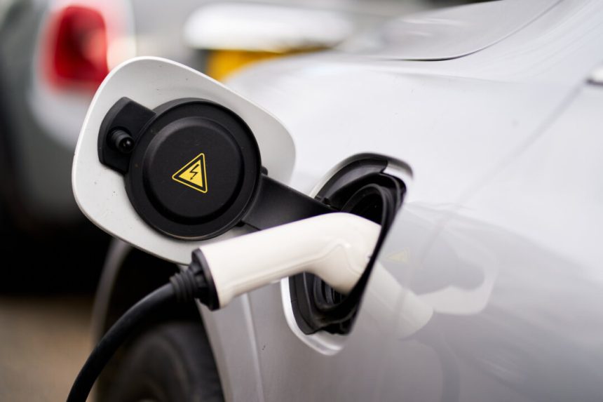 report-finds-‘little-evidence’-electric-car-grants-are-boosting-sales