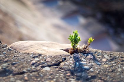 unleashing-inner-strength-in-a-world-that-wants-to-tame-you