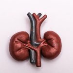 could-your-urine-predict-your-dementia-risk?