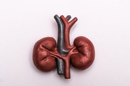 could-your-urine-predict-your-dementia-risk?