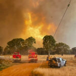 deforestation-can-cause-eight-fold-increase-in-flood-risk,-report-finds