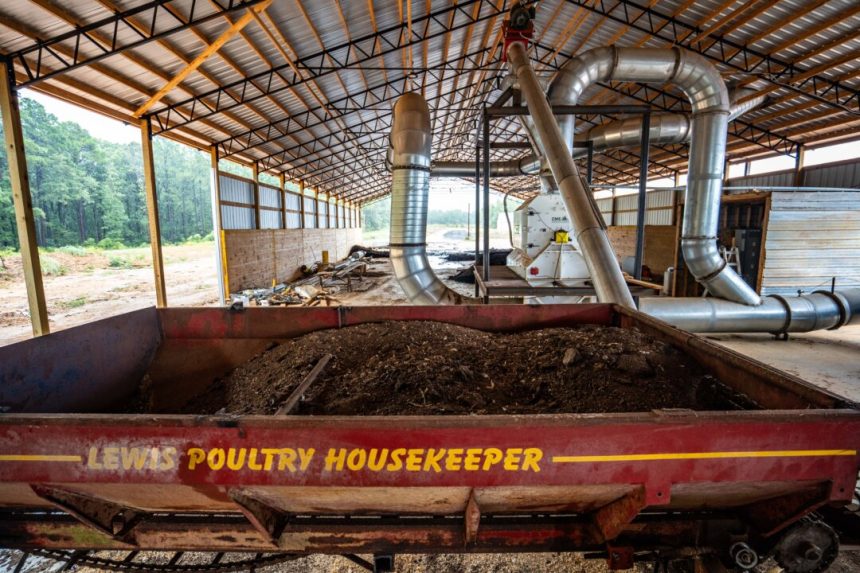 amid-high-tech-arkansas-lithium-boom,-a-new-business-emerges-from-(chicken)-scratch