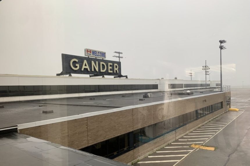 airport-warns-about-catfishing-as-people-arrive-to-meet-loved-ones-who-don’t-exist