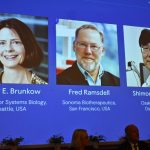 nobel-prize-in-medicine-goes-to-3-scientists-for-key-immune-system-discoveries