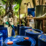 treasury-sanctions-mexican-companies-accused-of-aiding-cartel-fentanyl-production
