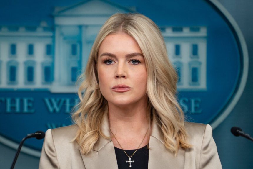 tariffs-to-fund-women-and-infants-nutrition-program-during-shutdown:-white-house