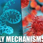 the-harms-and-mechanisms-of-the-covid-genetic-experiment