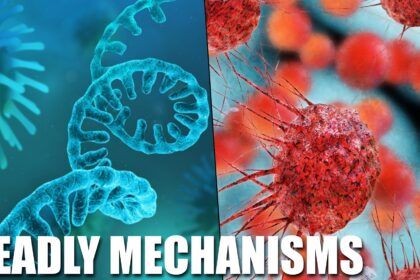 the-harms-and-mechanisms-of-the-covid-genetic-experiment