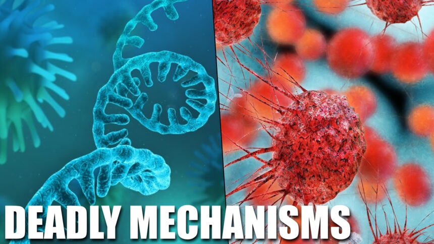 the-harms-and-mechanisms-of-the-covid-genetic-experiment