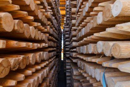 rayonier-and-potlatchdeltic-merge-to-form-second-largest-timber-company-in-north-america