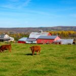 as-china-buys-up-farmland-abroad,-how-is-canada-responding?