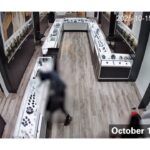 police-release-video-of-southern-ontario-smash-and-grab-as-search-continues-for-one-suspect