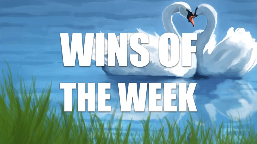 wins-of-the-week-episode-95