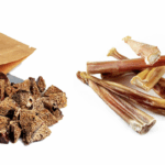 salmonella-outbreak-in-canada-linked-to-dog-treats:-public-health-notice