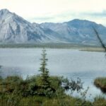 trump-admin-reopens-alaska-wildlife-refuge-for-oil,-gas-leasing