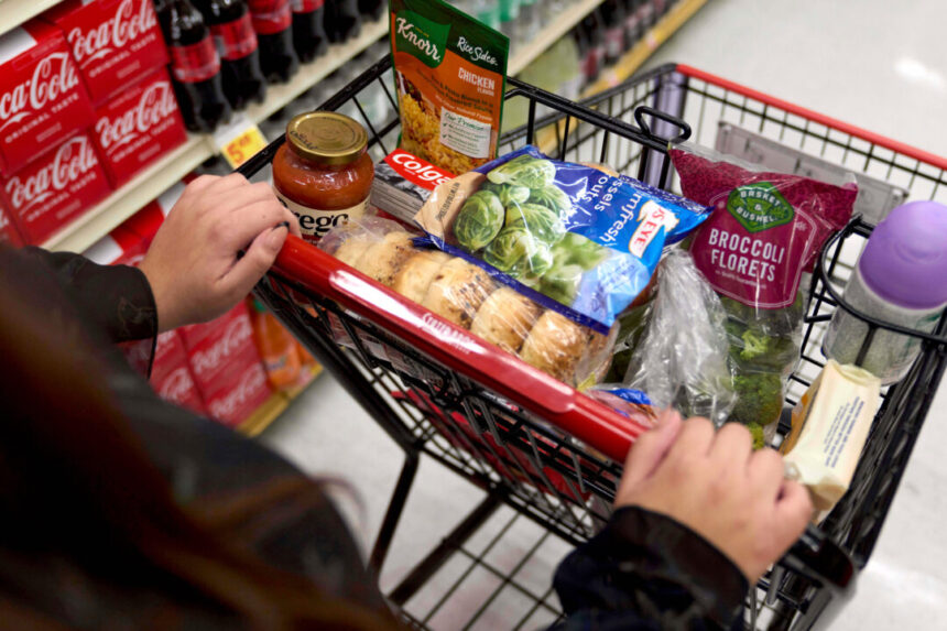 usda-says-snap-benefits-will-expire-for-41-million-people-if-shutdown-persists