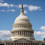 america-in-brief